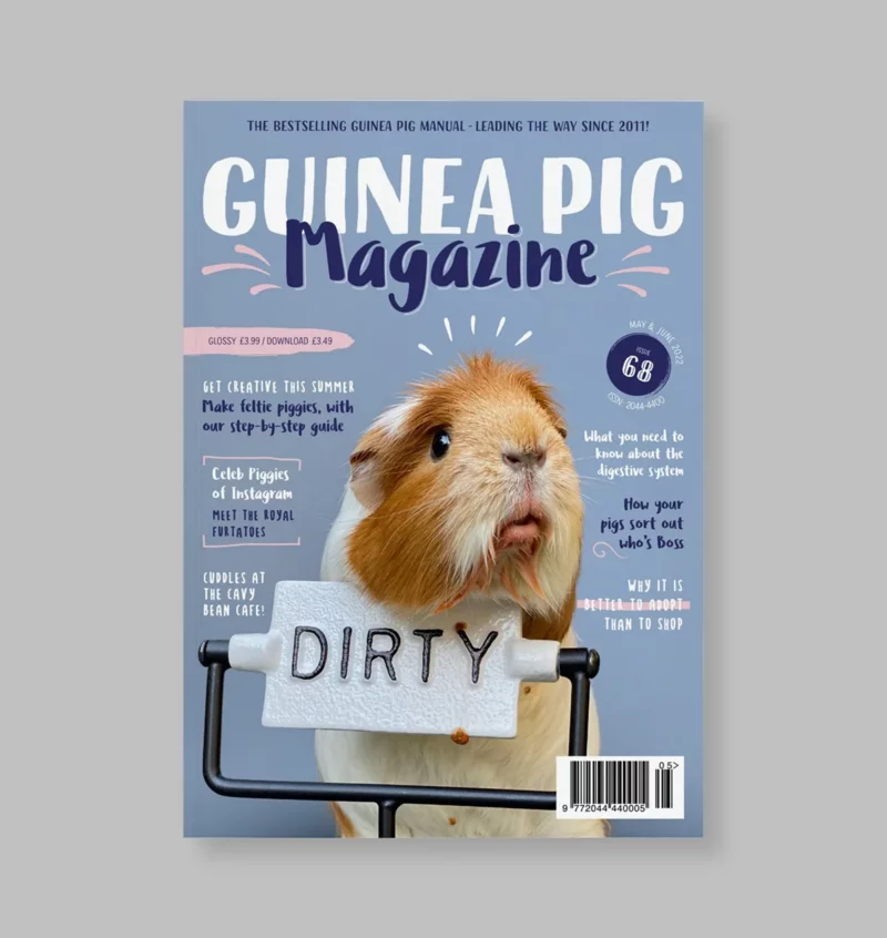 Guinea Pig Magazine